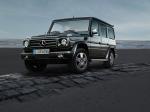 Mercedes-Benz G-Class Edition 30 2009 года